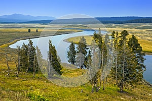 Yellowstone river