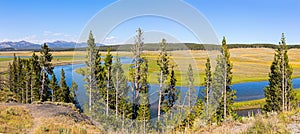 Yellowstone River at Hayden Valley