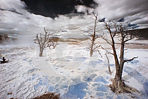 Yellowstone Terraces, Infarred