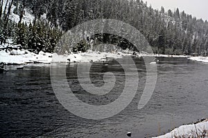 Yellowstone Winter Snow Madison River