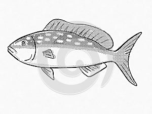 Yellowtail Margate Reef and Wreck Fish Florida and Gulf of Mexico Cartoon Retro Drawing