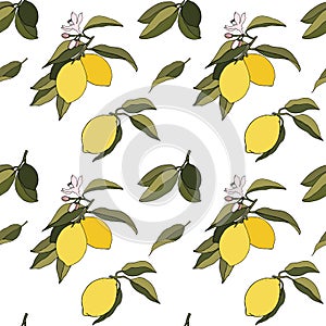 Yeloow lemons with leaves and flowers seamless pattern on white background. Vector summer fresh tropical citrus fruits eps
