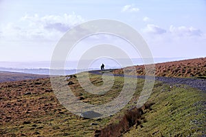 The Yelverton to Princetown railway track, Dartmoor Devon England