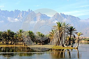 Yemen. Socotra island