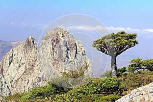 Yemen. Socotra island. Higghe mountains