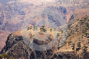 Yemen. Socotra island. Plateau Dixam