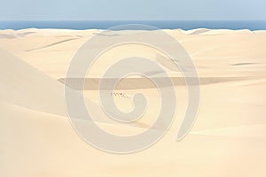 Yemen. Socotra island. Sand dunes