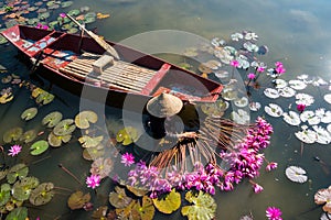 Yen river with rowing boat harvesting waterlily in Ninh Binh, Vietnam