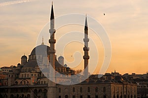 The Yeni Mosque photo