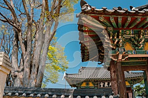 Yeongnamnu Cheonjingung traditional architecture in Miryang, Korea