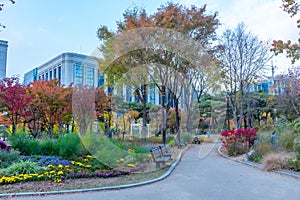 Yeouido park on an island in the center of Seoul, Republik of Korea