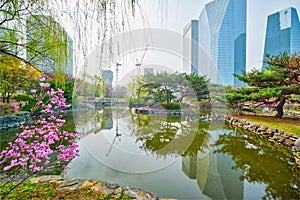 Yeouido Park in Seoul, Korea