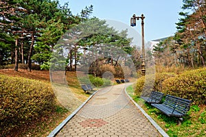 Yeouido Park in Seoul, Korea