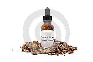 Yerba Mansa tincture and dried root on white