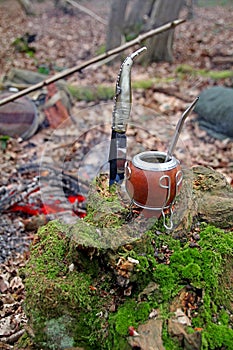Yerba mate and knife in woods