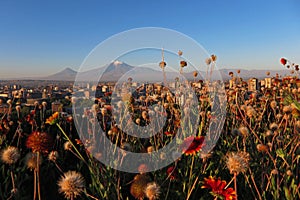 Yerevan with Ararat