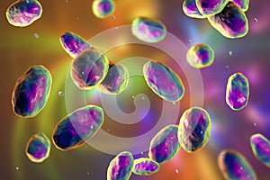 Yersinia pseudotuberculosis bacteria, 3D illustration