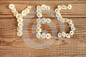 YES wrote with daisies on wooden background