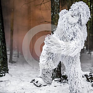 Yeti fairy tale character in winter forest. Outdoor fantasy photo.