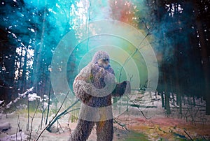 Yeti fairy tale character in winter forest. Outdoor fantasy photo.