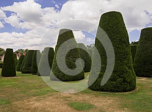 Yew Tree Topiary Garden photo