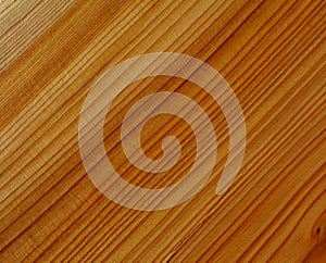 Yew wood texture