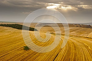 Yezreel Valley fields