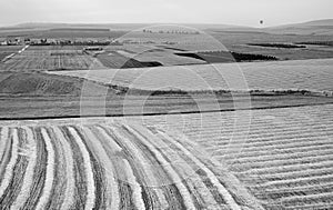Yezreel Valley and Issachar hills
