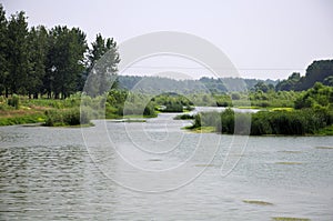 Yi River wetland Luoyang China