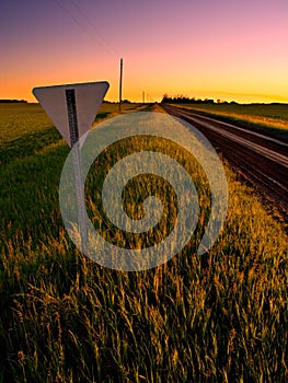 Yield Sign