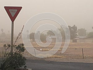 Yield Sign in an Arizona Dust Storm, Haboob