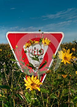Yield Sign in Flowers