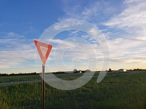 Yield sign next to a rural road during sunset