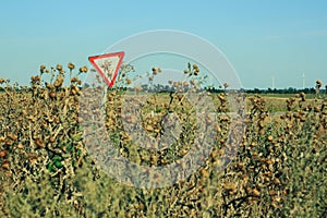 Yield sign on the road. Red traffic sign Give Way with moving motorcycle and wind turbines on background