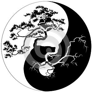 Yin Yang Bonsai photo