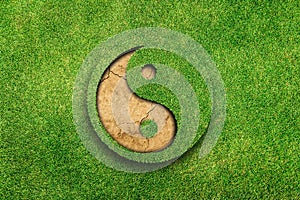 Yin Yang on green grass