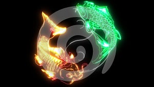 Yin Yang Koi fish video art