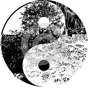 Yin yang tree in black and white