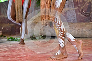 Yirrganydji Aboriginal men dance during Aboriginal culture show