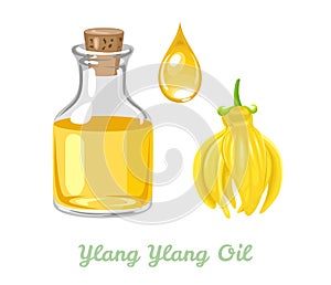 Ylang ylang essential oil in glass bottle, drop and yellow flower. Vector illustration