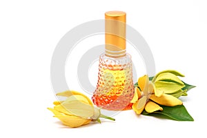 Ylang-Ylang essential oil with flowers