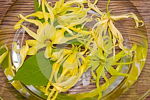 Ylang-ylang flower in water for day spa