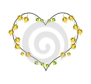 Ylang Ylang Flowers in A Heart Shape