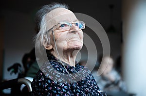 84 yo white grandmother sitting in a wheelchair, Tienen, Belgium photo
