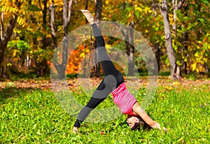 Yoga Adho mukha eka pada shvanasana pose