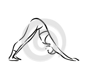 Yoga adho mukha schwanasana pose illustration on white background. Relax and meditate. Healthy lifestyle. Balance
