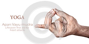 Yoga Apan Vayu mudra