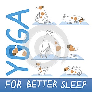 Yoga for better sleep and cute jack russell terrier as character, flat or outline vector stock illustration with dog and asana