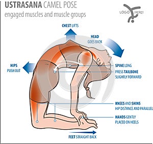 Yoga-camel pose