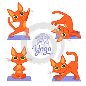 Yoga Cat Pose. Yoga Cat Vector. Yoga Cat Meme.